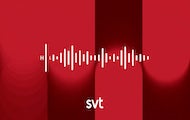 Hela Sveriges Musiktelevision thumbnail